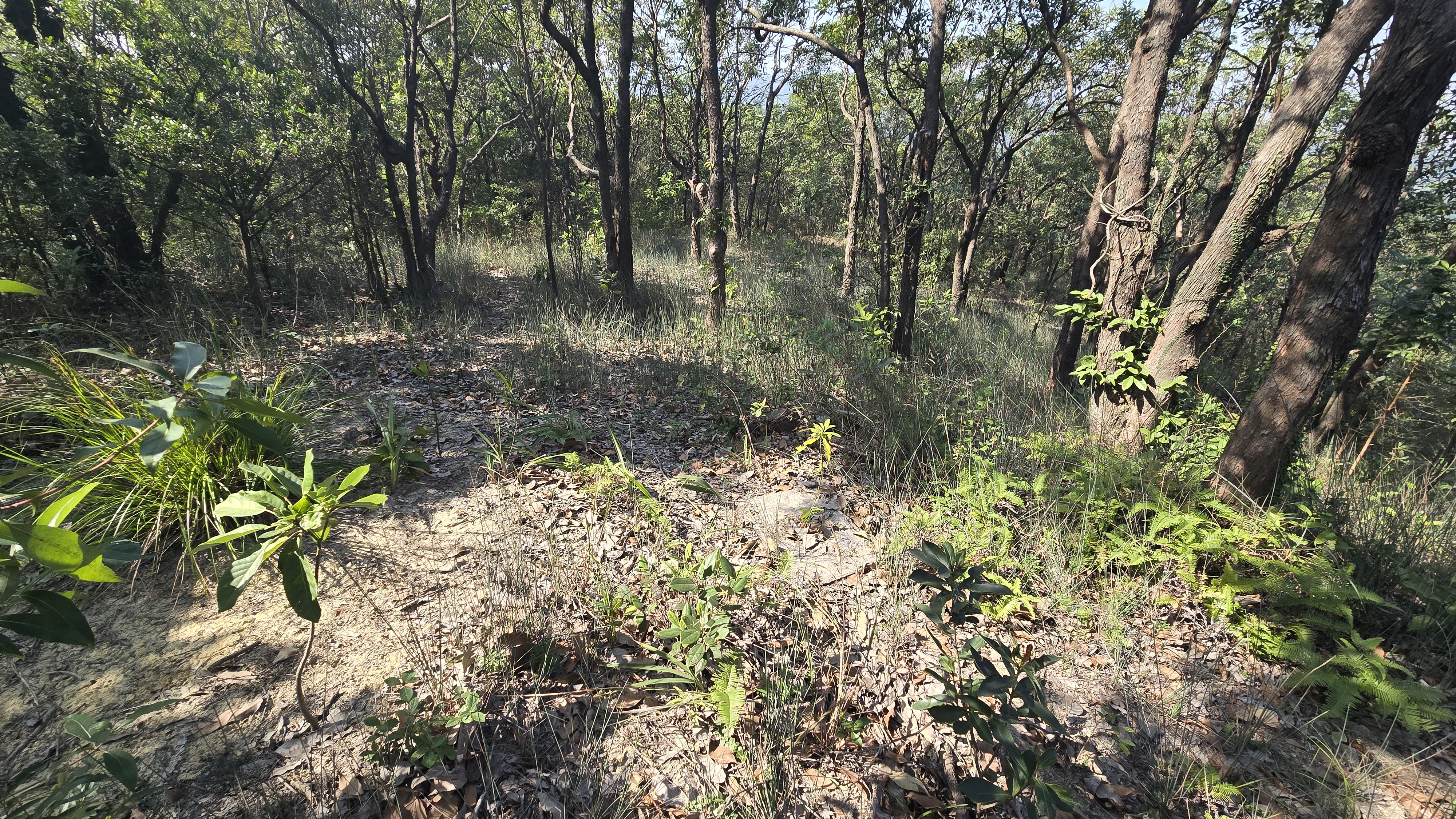 TGE Site 09 & 10